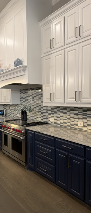 Modern Kitchen Cabinets - Painted - Fort Worth Texas